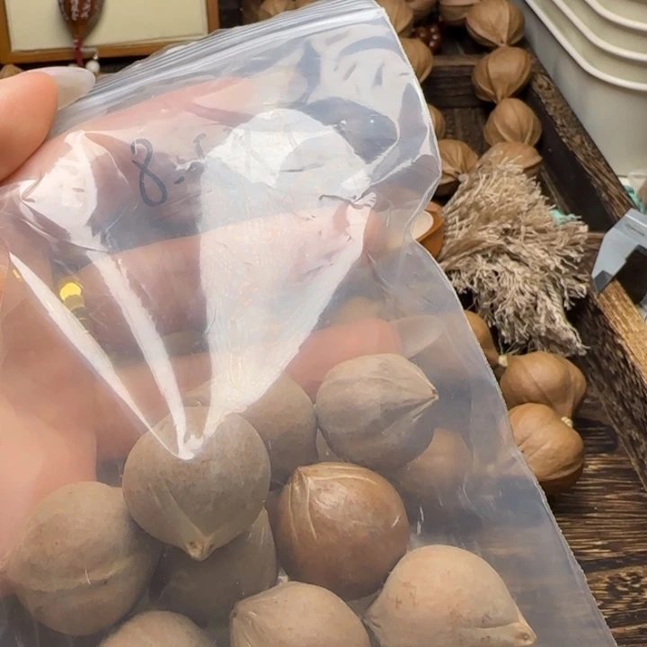 【闪购商品】手串/手链橄榄核千*橄榄核素核