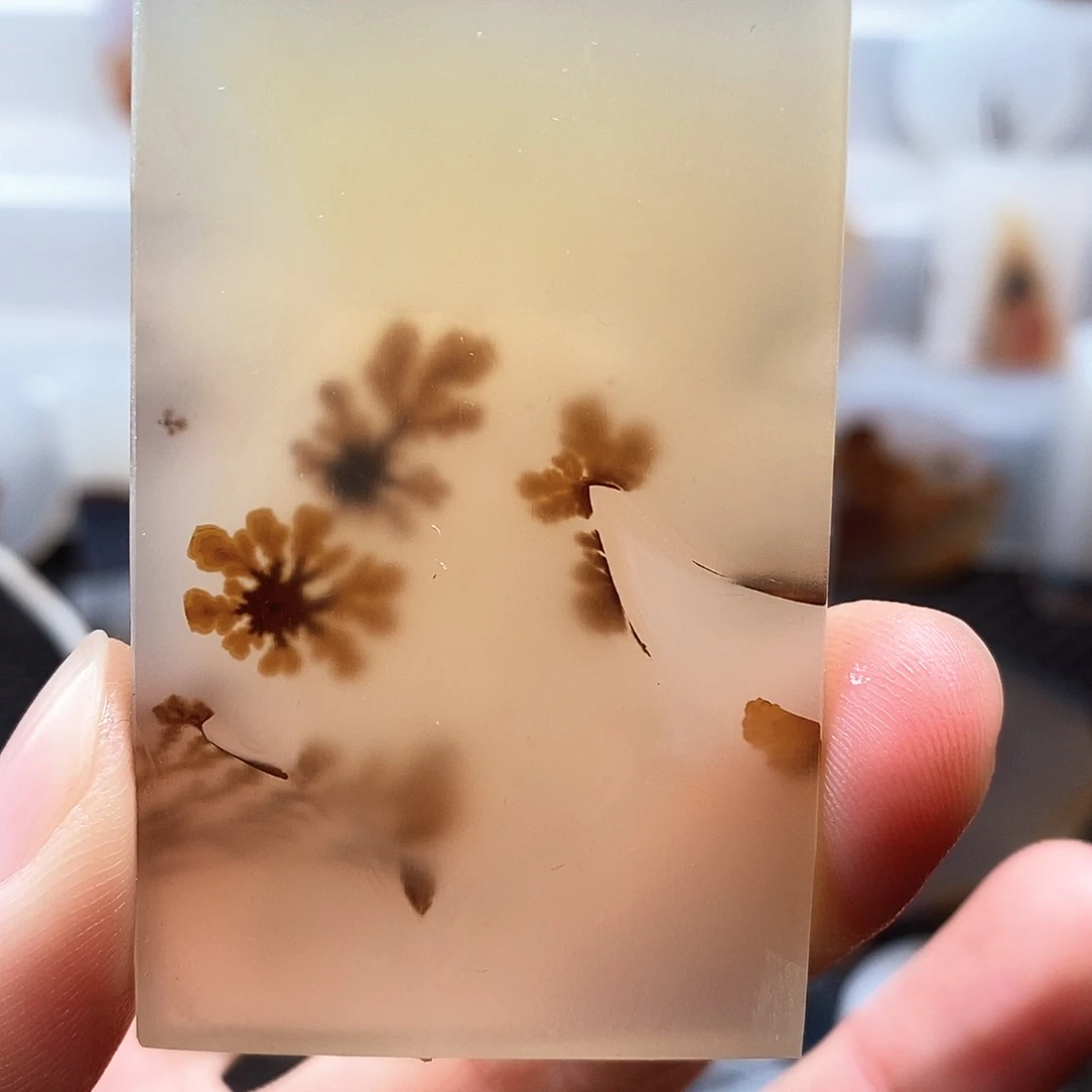 玛瑙/玉髓合金珠宝奇石