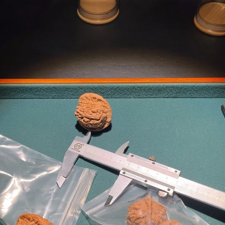 文玩核桃把件文玩核桃