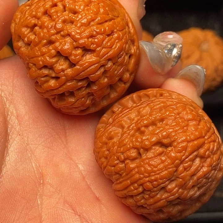 文玩核桃把件秦岭山脉核桃