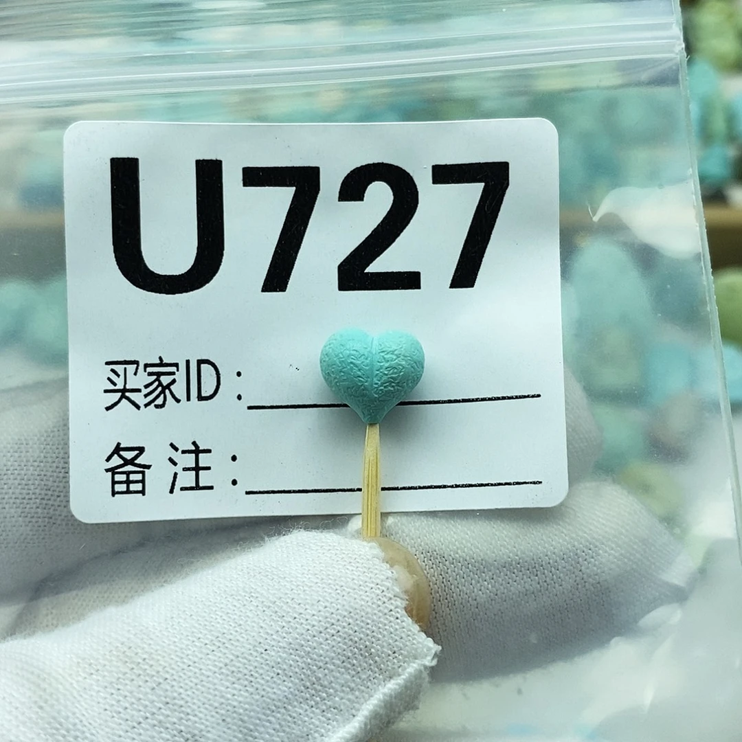 未镶嵌绿松石配饰