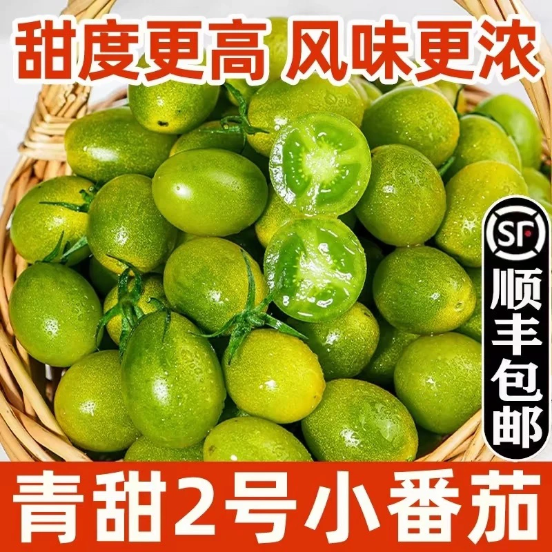 砧鲜青甜2号维c小番茄圣女果小番茄水果番茄绿番茄纯甜爆汁小