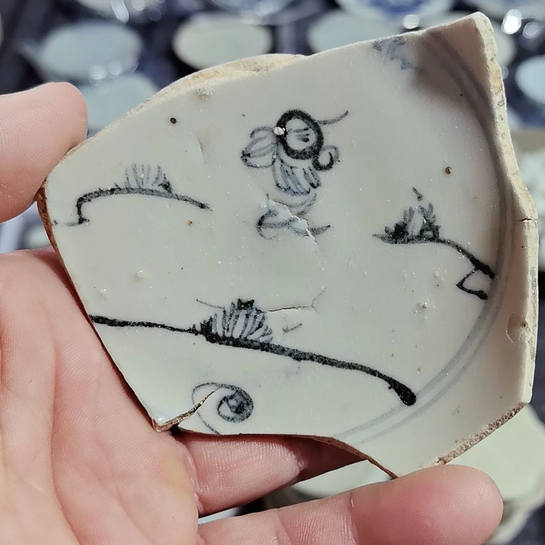 瓷片青花影青杯垫标本全选