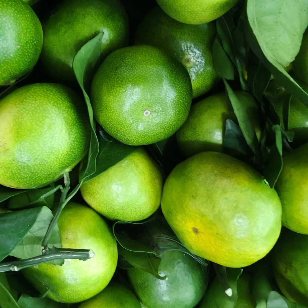 10斤装赣南寻乌蜜橘现摘青皮蜜桔薄皮多汁酸甜爽口应季孕妇水果