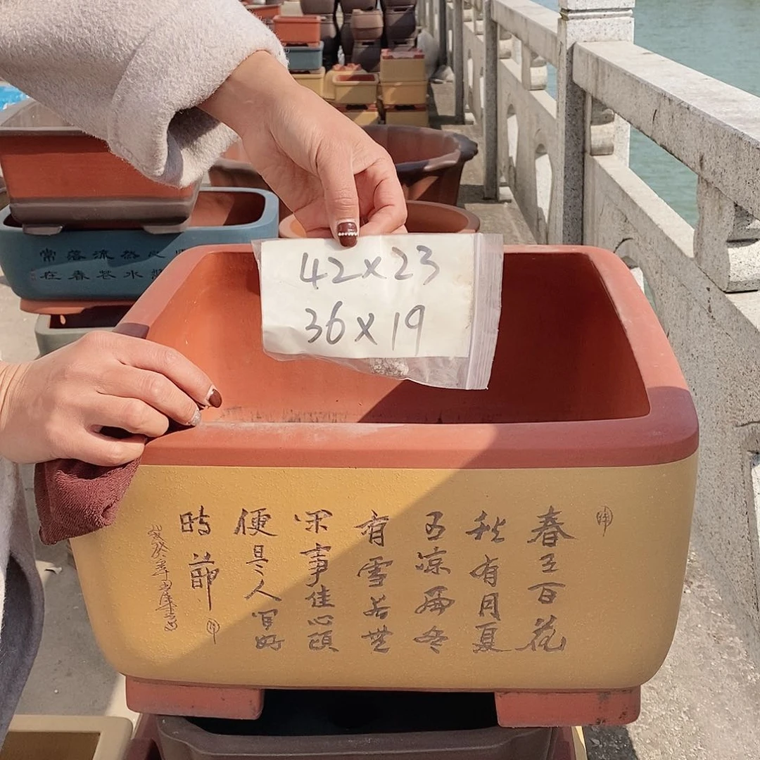 紫砂花盆紫砂花盆