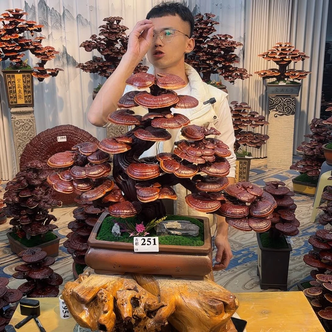 无花朵8888888888889