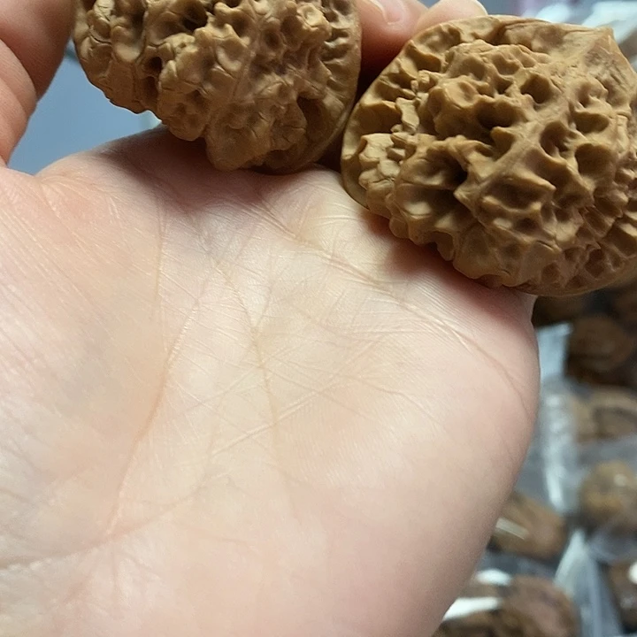 把件文玩核桃47.5官帽老树