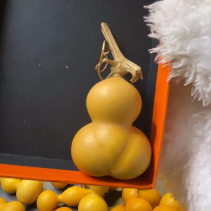 看好下单理性消费不保龙头