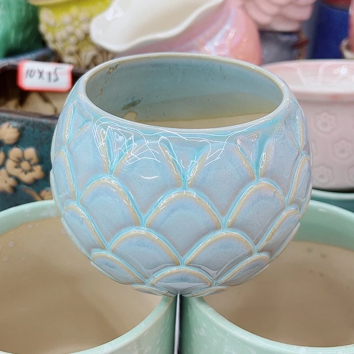 福利花盆9.99包邮