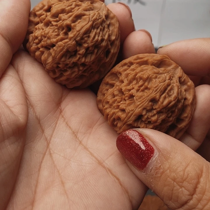 核桃南疆石40尺核桃