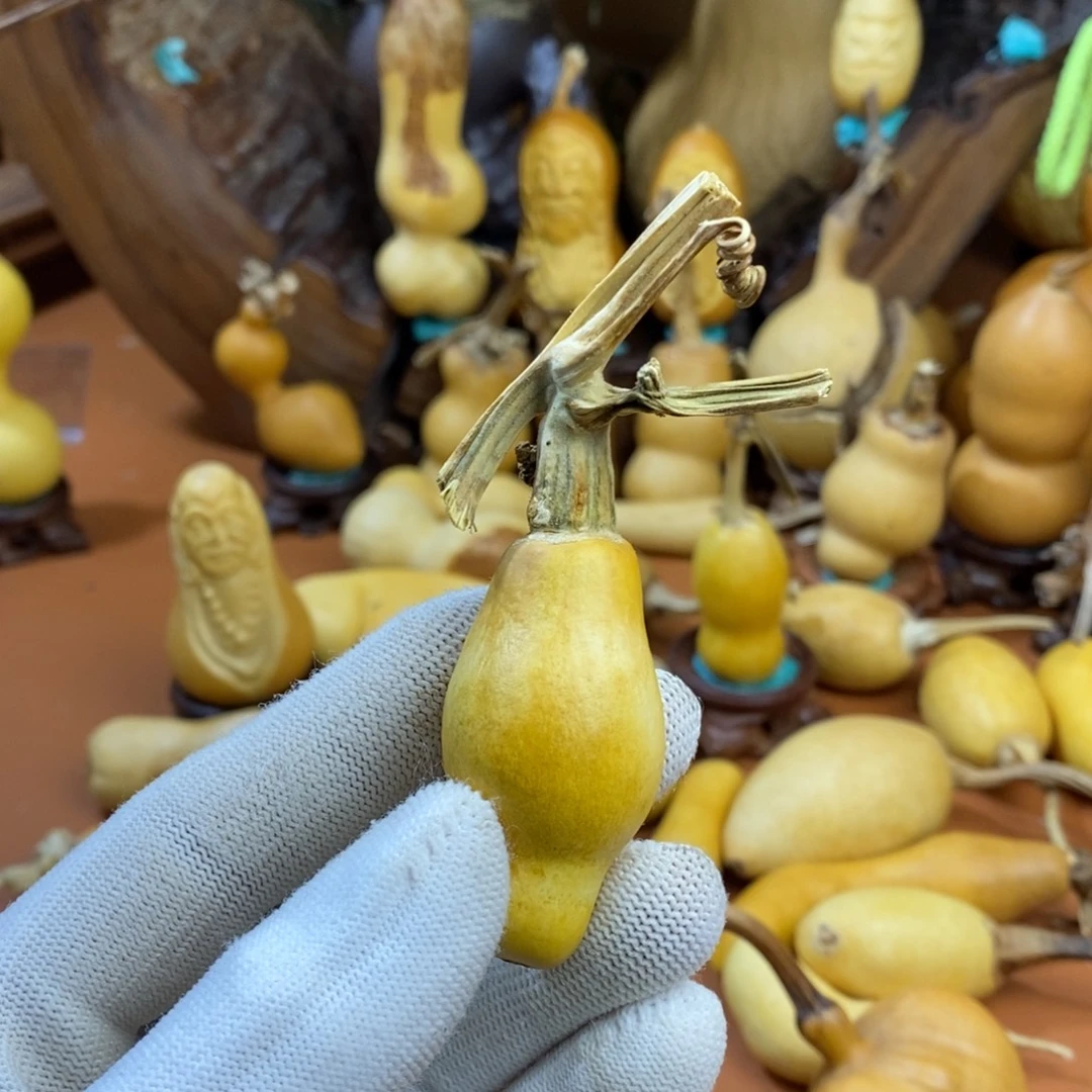 *****啦啦啦好教练教练咯