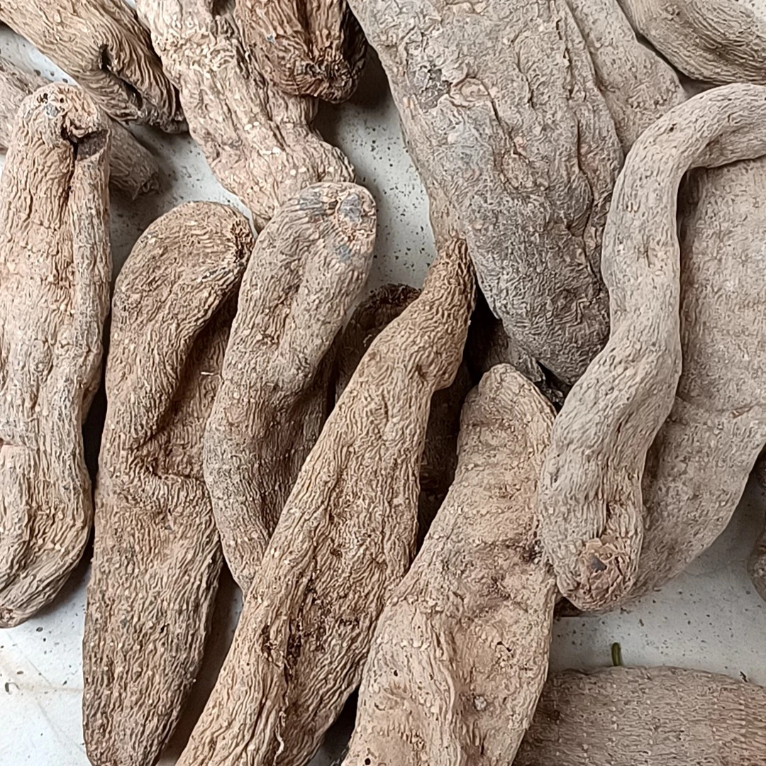 【云南土特产】黑金天麻