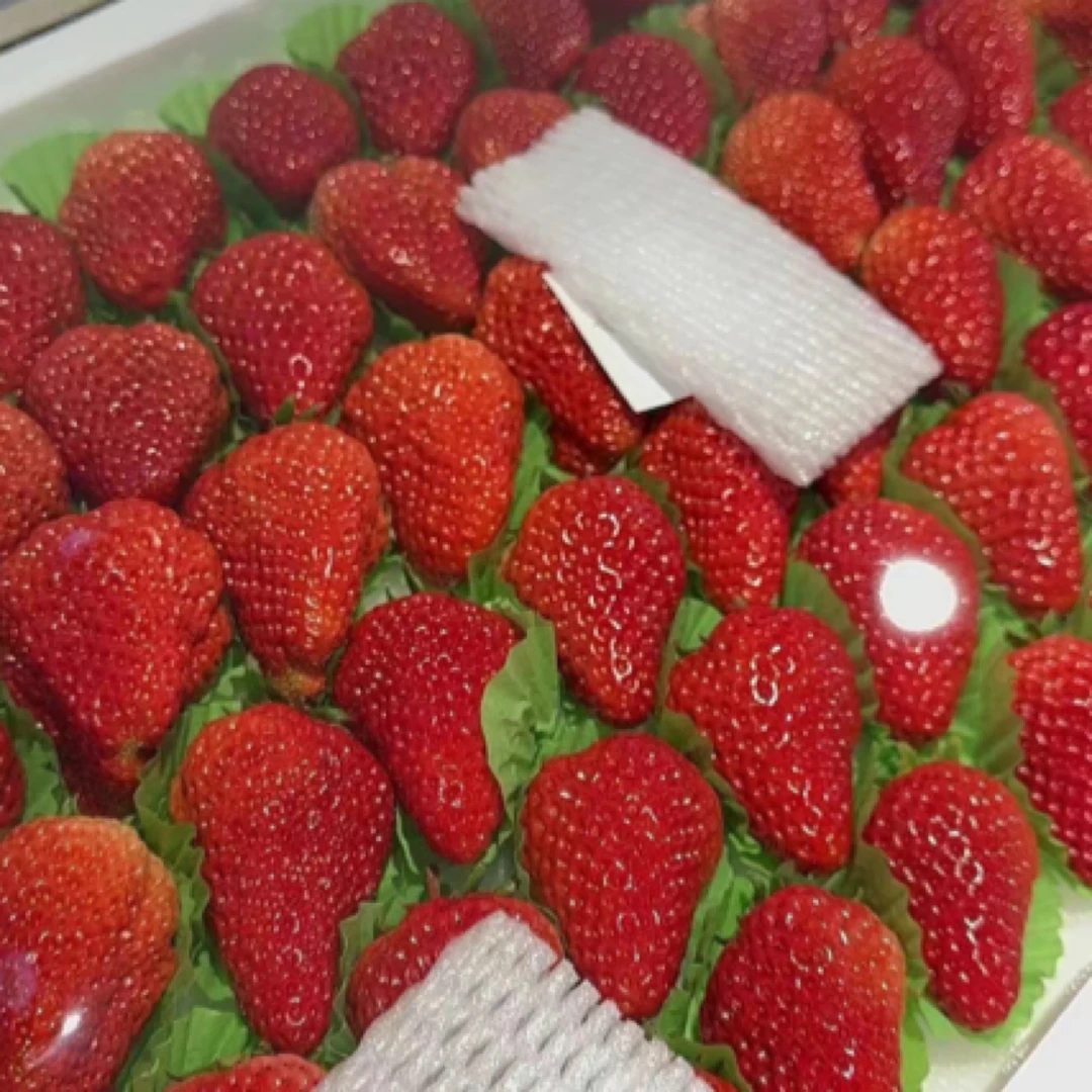 丹东九九草莓五排大果
