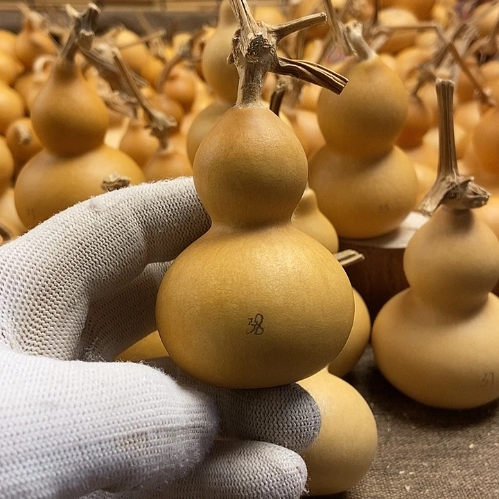 文玩葫芦 完美主义者 慎拍38