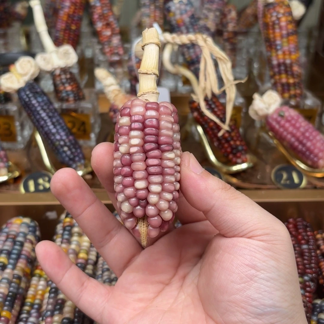 柏香籽/百香籽吊坠哇***.