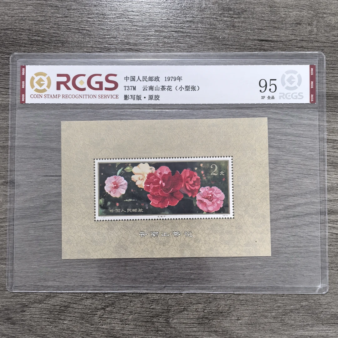 1979年 T37M 云南山茶花（小型张） 邮票