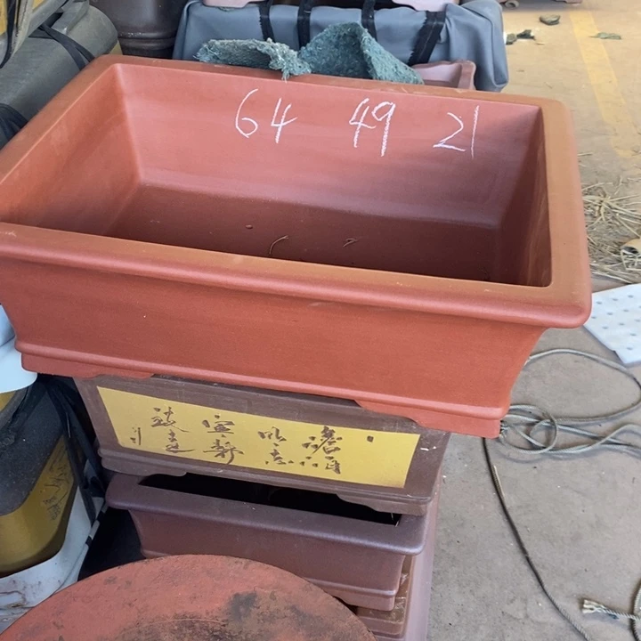 紫砂花盆只顾看手机的日子