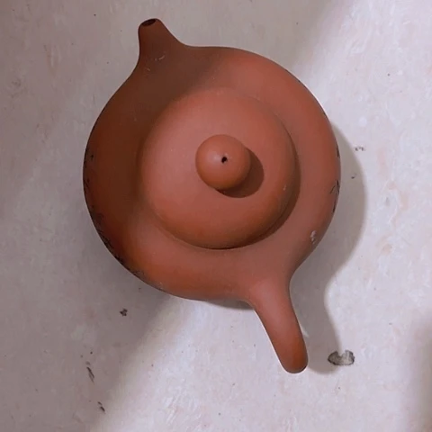 香榧木南**人Fhgfhvghcghchhvhbchv
