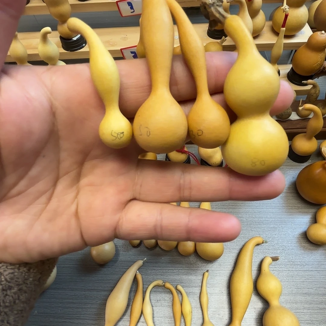 豆***航精品葫芦葫芦葫芦123123