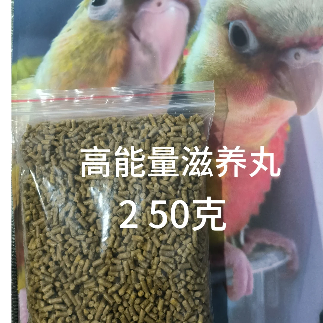 小太阳鹦鹉高能量滋养500克