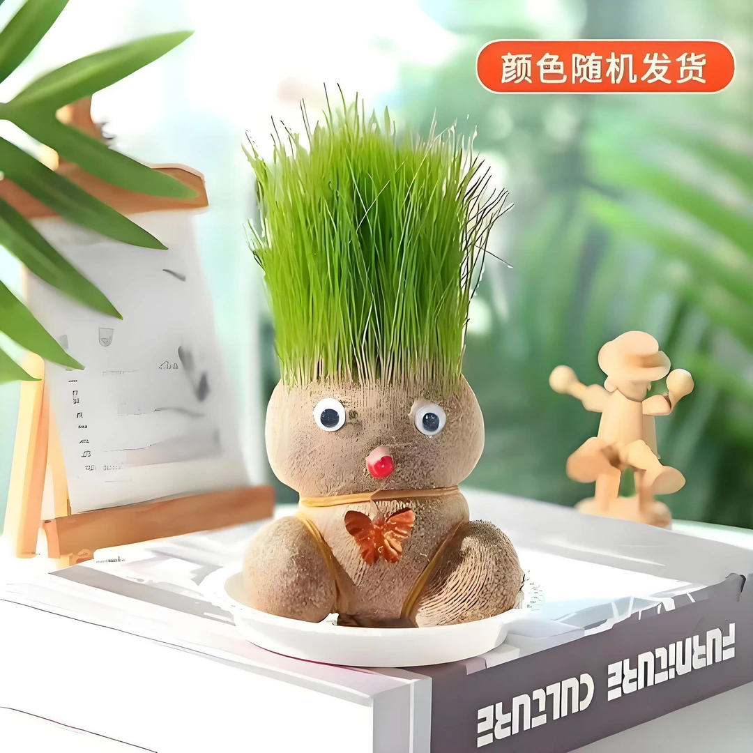 草头娃娃头上长草人小盆栽种植浇水长头发儿童种草幼儿园网红开花