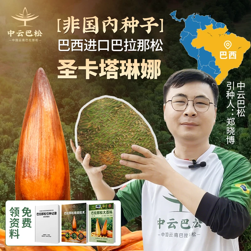 【一人仅限拍一颗】目的是领电子版资料，了解学习巴拉那松