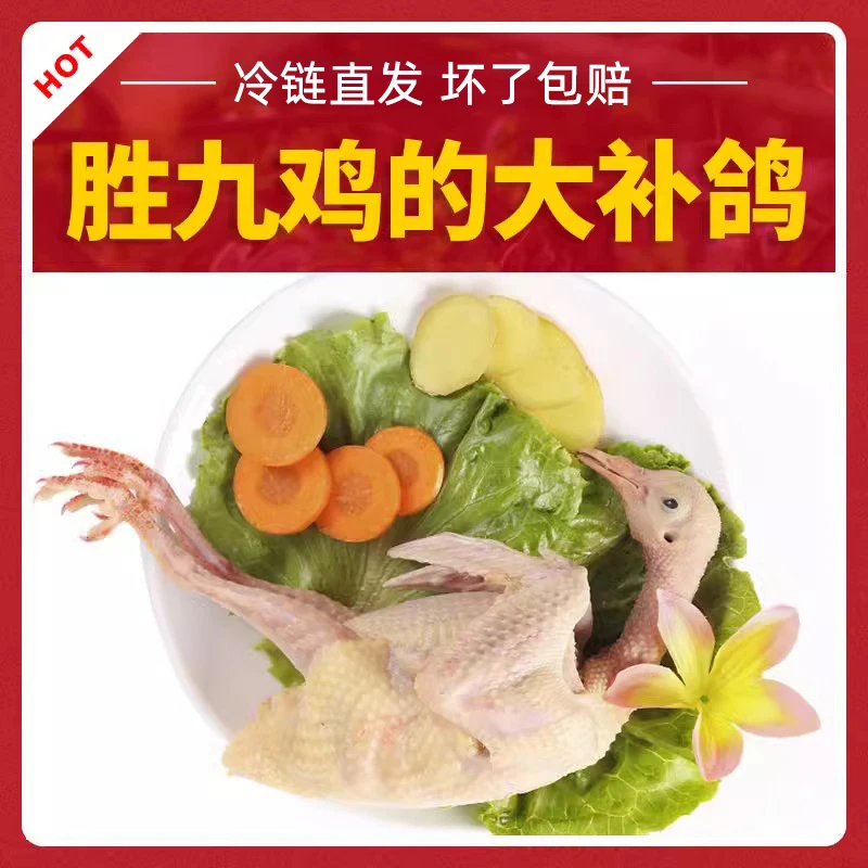 坏单包赔农家新鲜现宰鲜嫩杂粮喂养乳鸽散养营养老鸽子肉冷链直发
