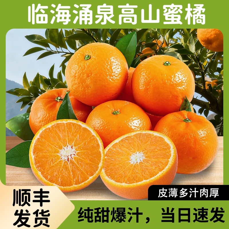 【宫川礼盒系列】临海涌泉高山蜜桔皮薄多汁无核新鲜采摘发货现摘发