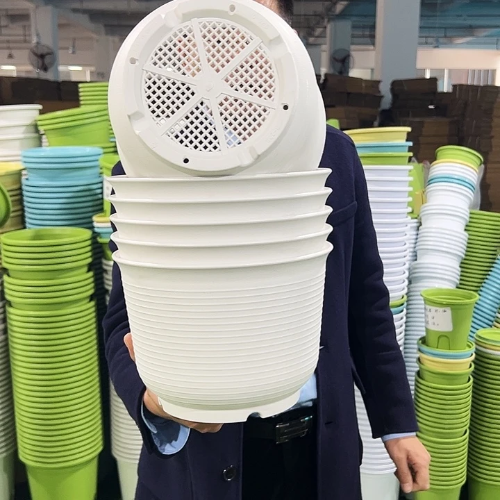 正品矮陶口24高17白色6只无托