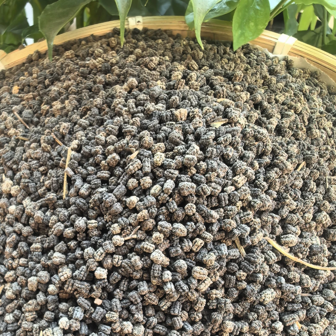 大山土特产 ~ 天蚕沙 【茶】