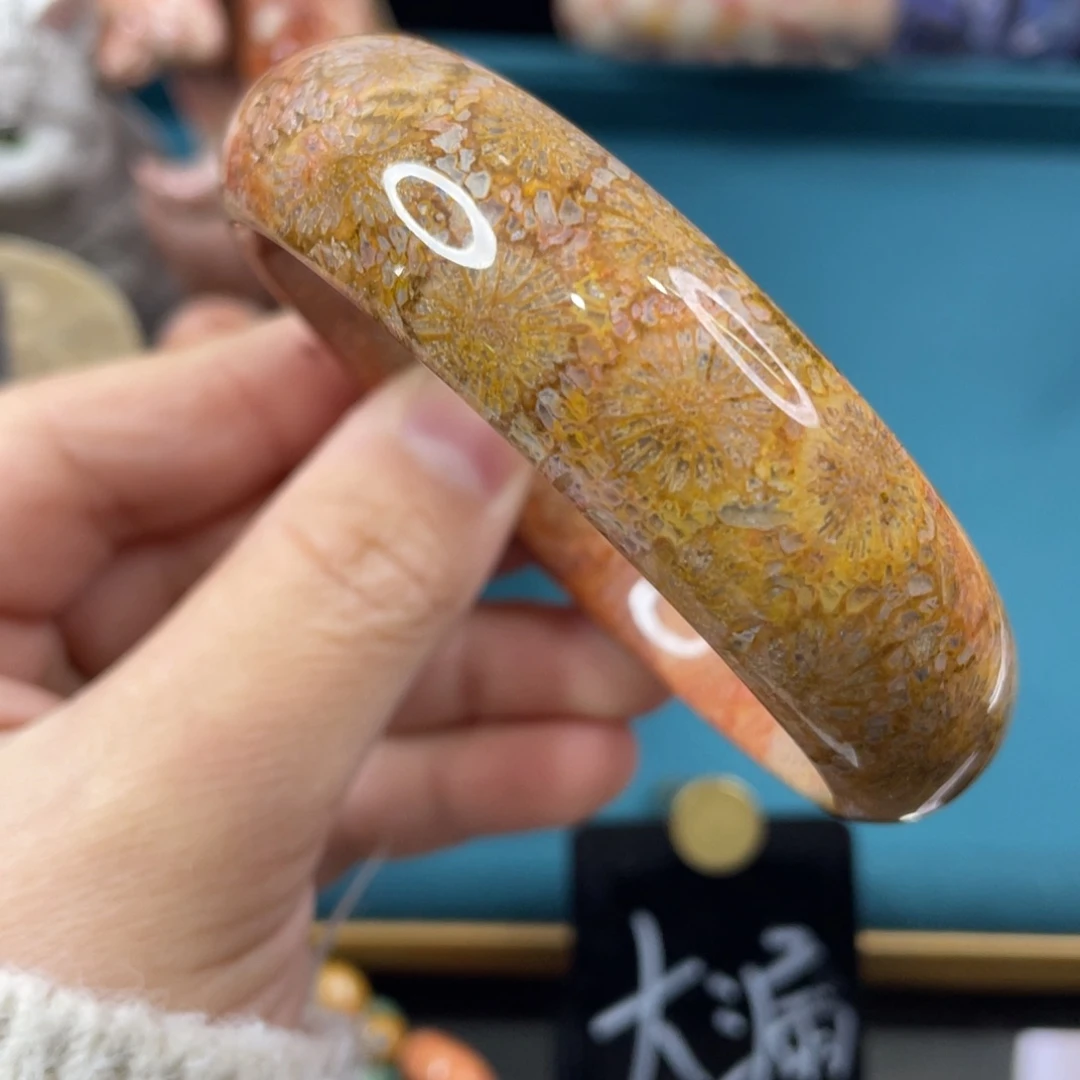 未镶嵌手镯硅化玉