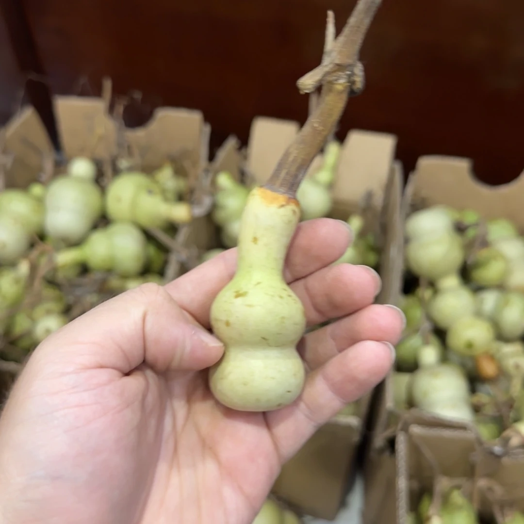 橘****青皮不包成 不退不换