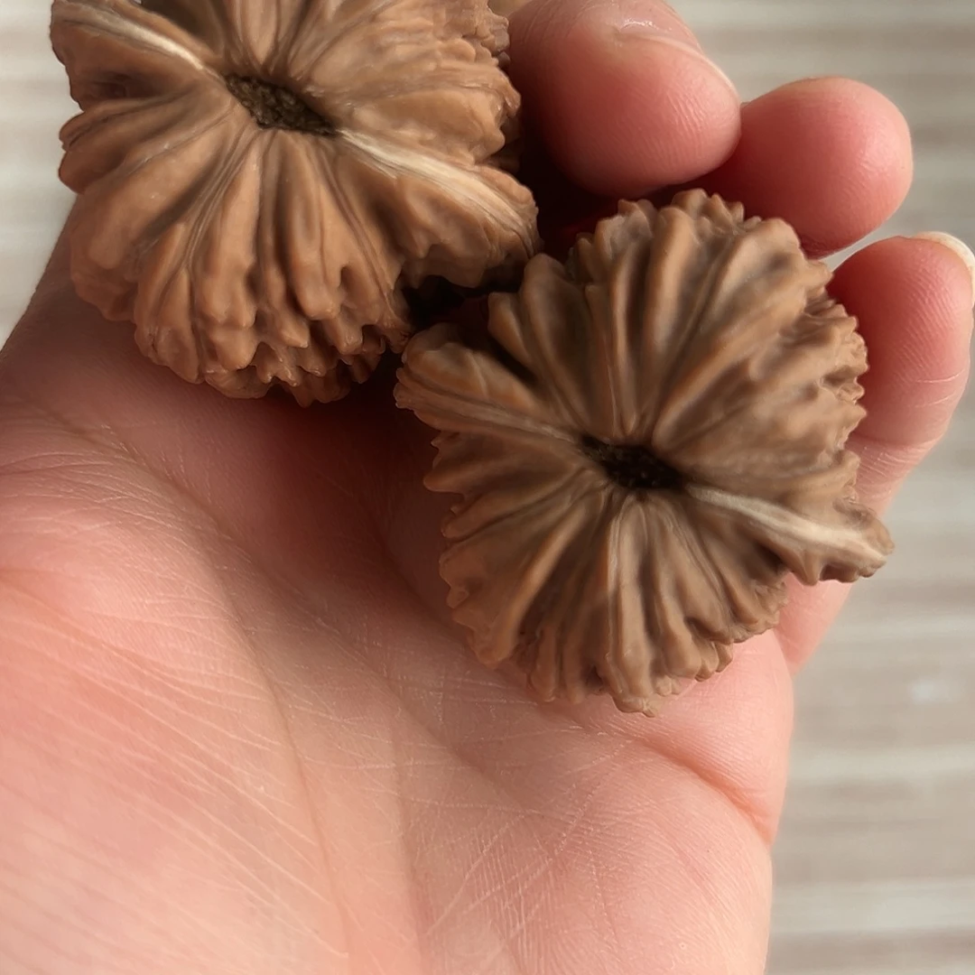 吊坠文玩核桃42楼子包邮 不退不换