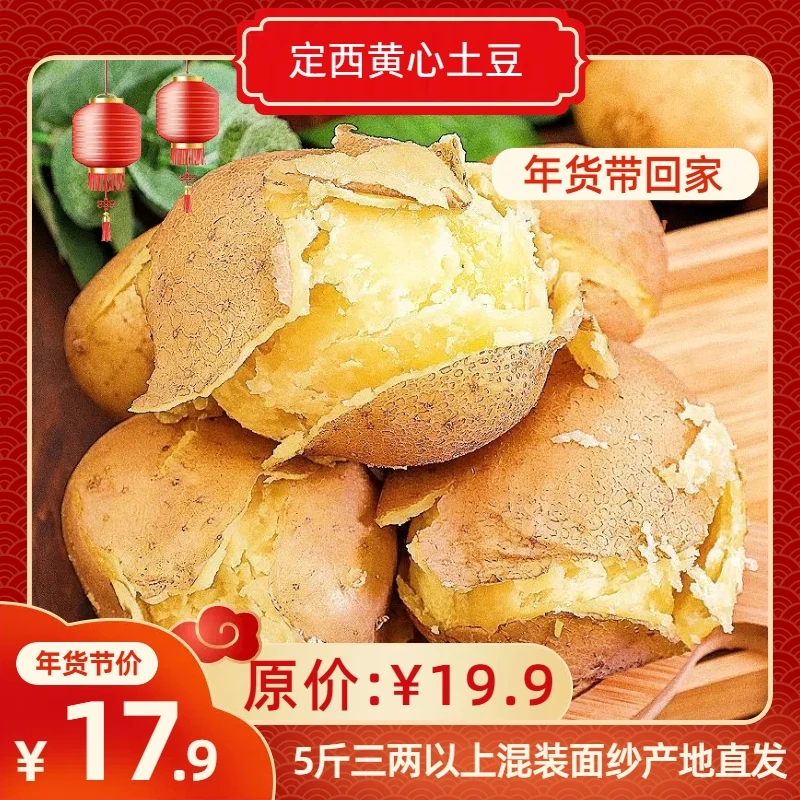 五斤甘肃定西黄心土豆中大果混装面沙粉糯高原马铃薯开花洋芋沙地