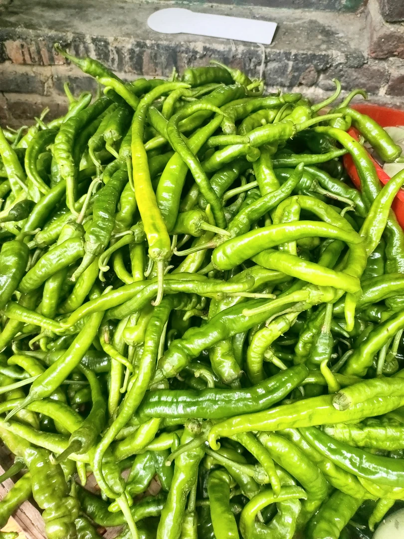 农家自种茄子新鲜蔬菜食用品现摘天糯米茄子3斤包邮