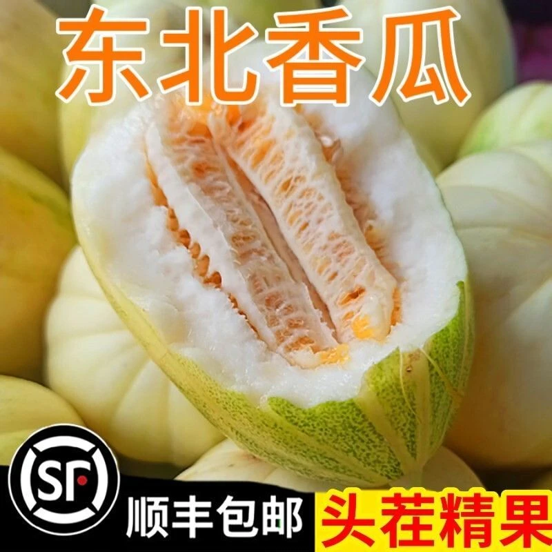 东北产地直发新鲜现摘香甜脆嫩香瓜口感甜脆微面