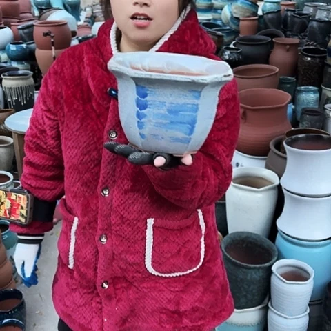 口21高15瑕疵一个盆。