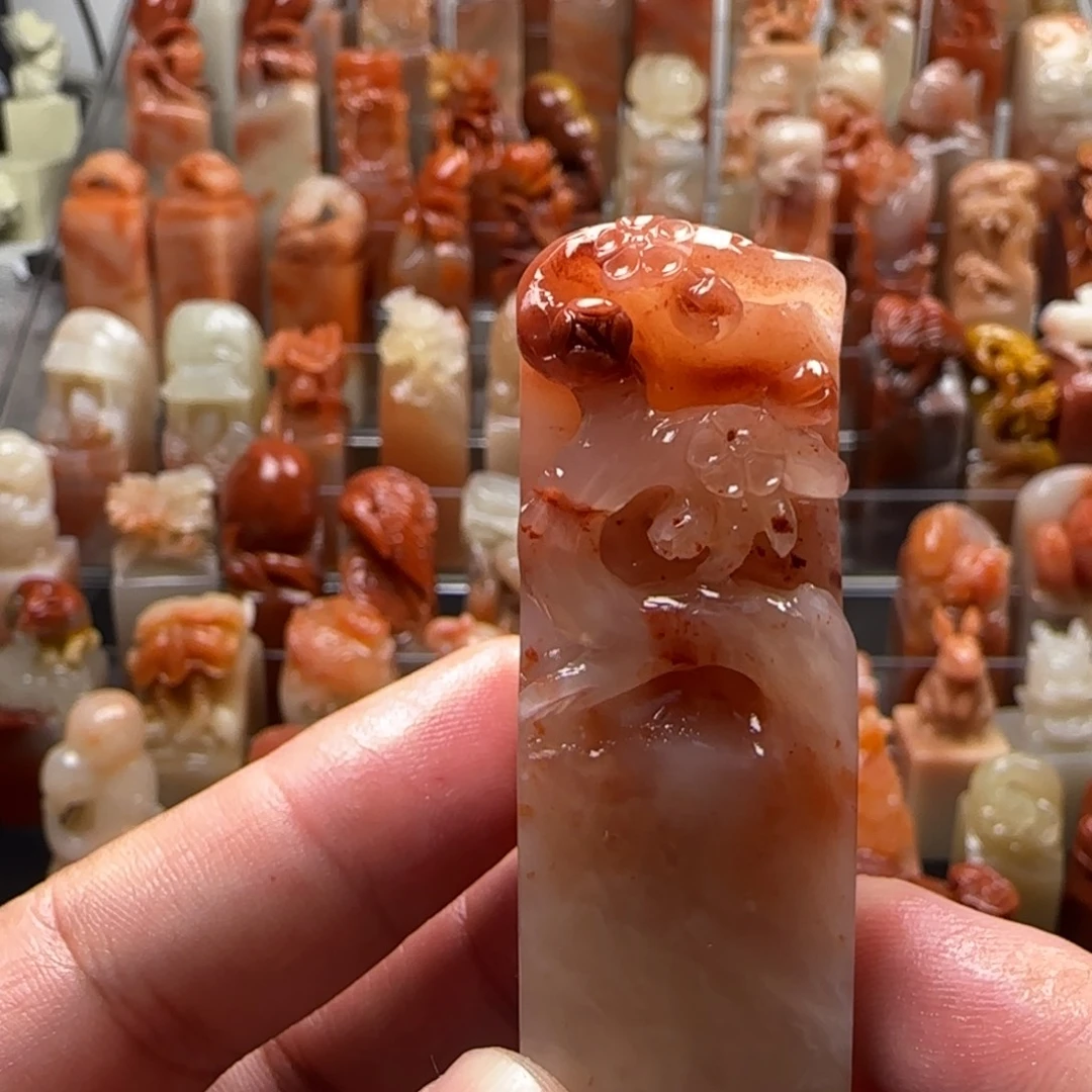 老挝石梅花 2.2×6.2
