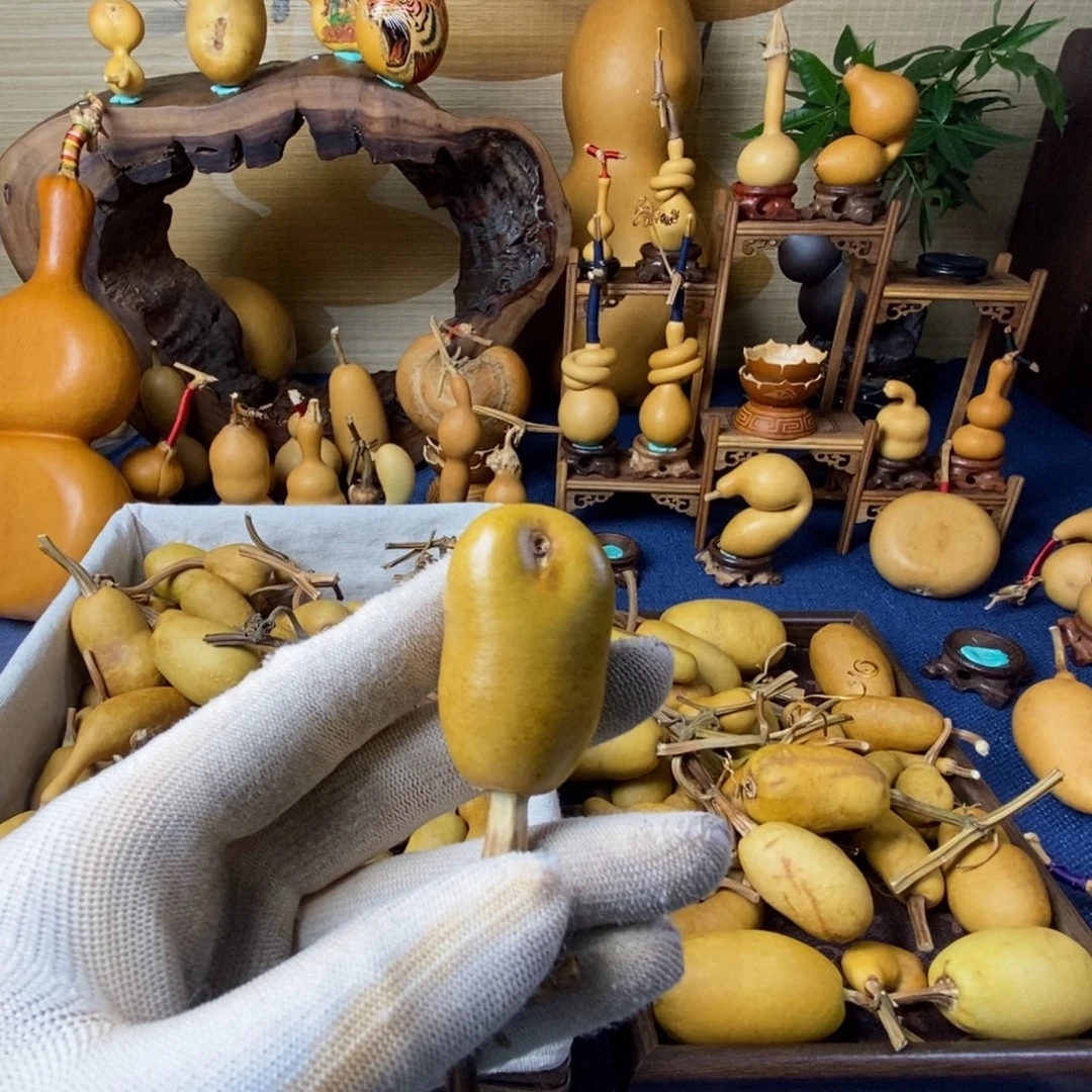 噗***緣路口剧透KKK来来来