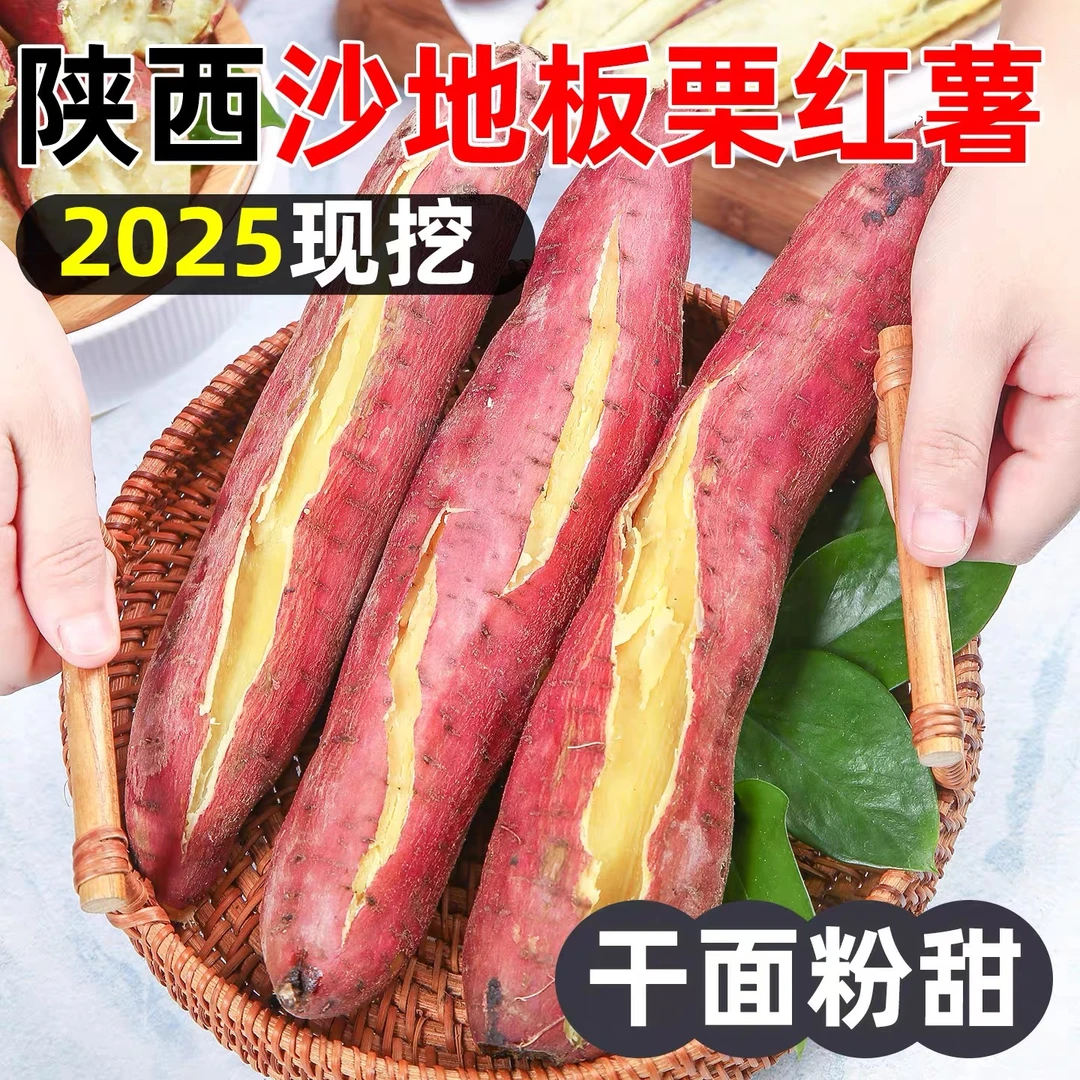 【坏果包赔】陕西板栗红薯新鲜现挖粉糯香甜正宗红薯粗粮代餐