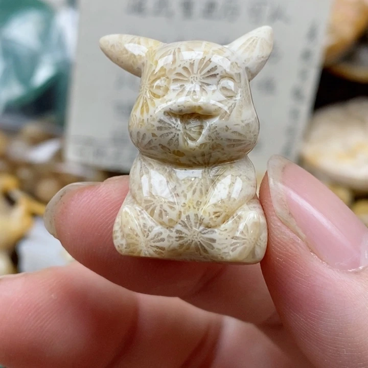 硅化珊瑚（珊瑚玉）未镶嵌颈饰