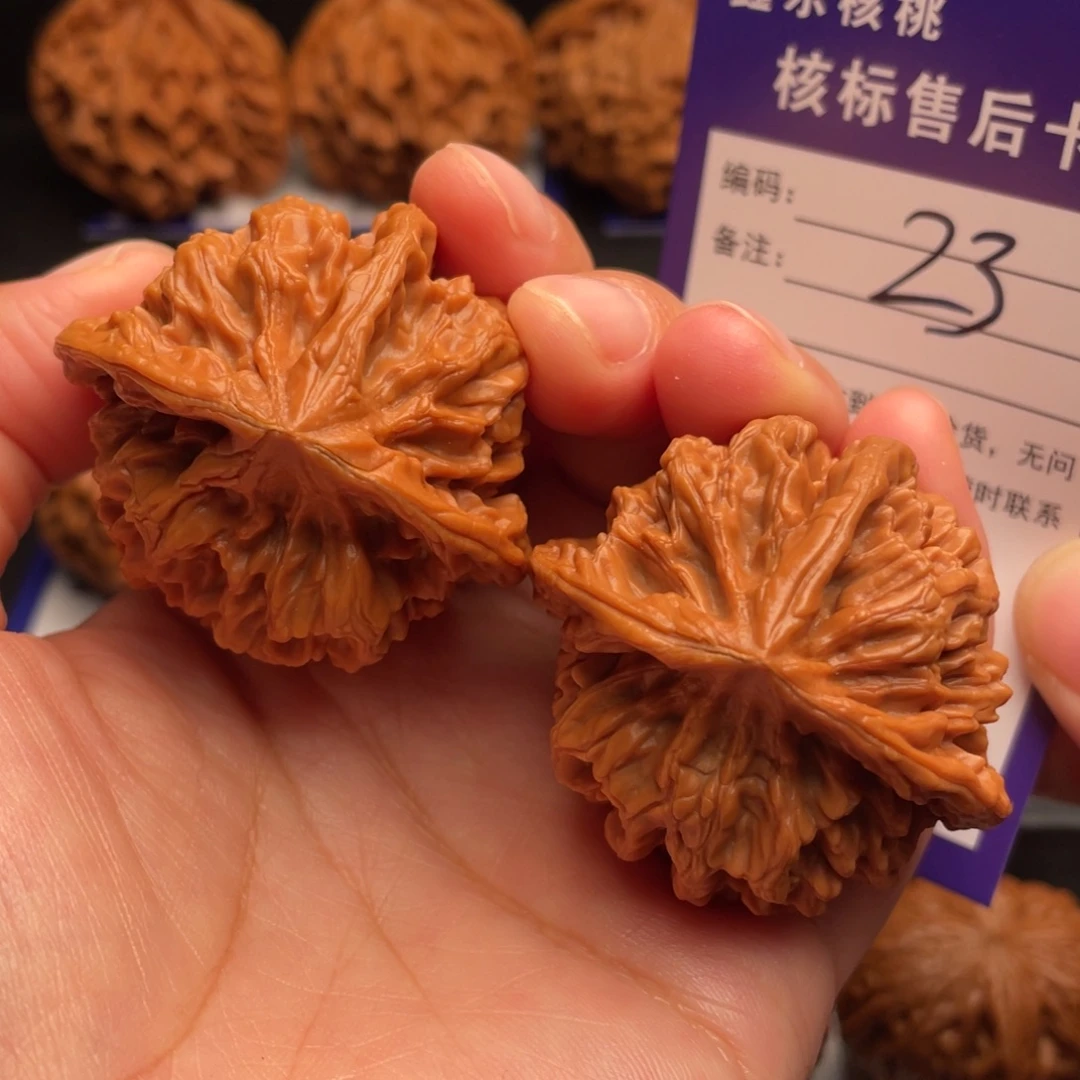 文玩核桃把件帝王三棱44.8尺全品