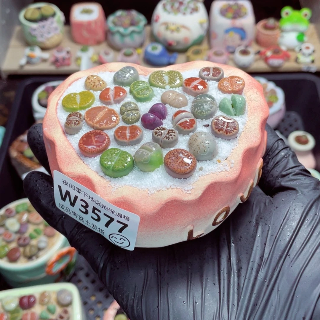 夜间零下地区拍保温箱w3577