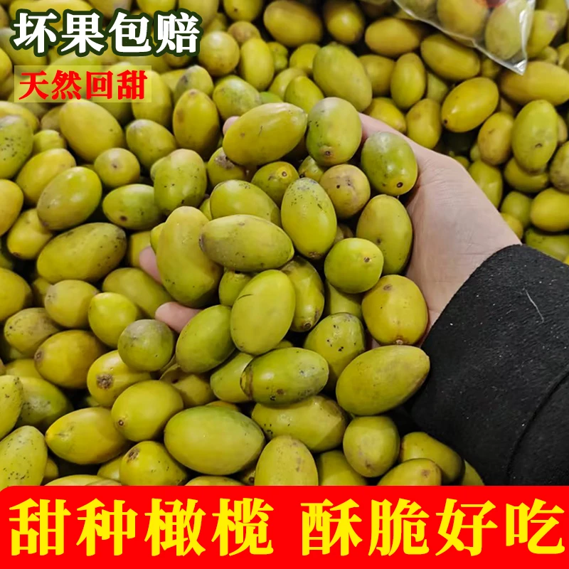 本地甜种橄榄酥脆无渣原生态不泡糖