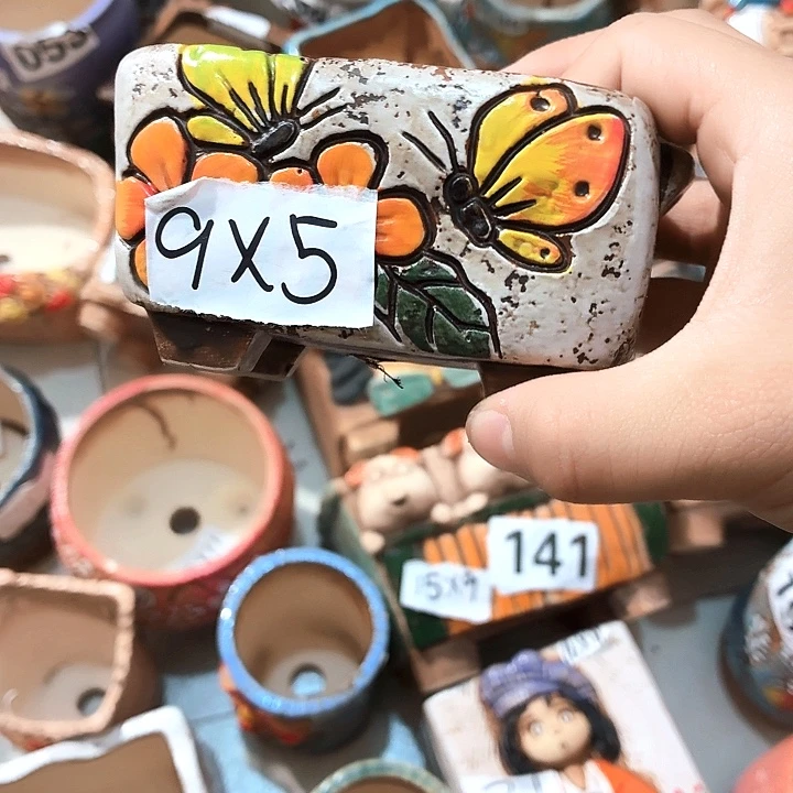 多肉花盆满15包邮