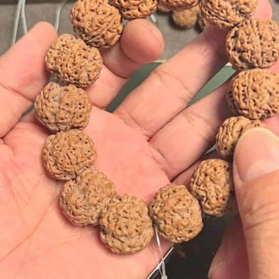 手串金刚菩提四瓣大金刚手串，蜂窝双龙，22左右尺寸，高油高密