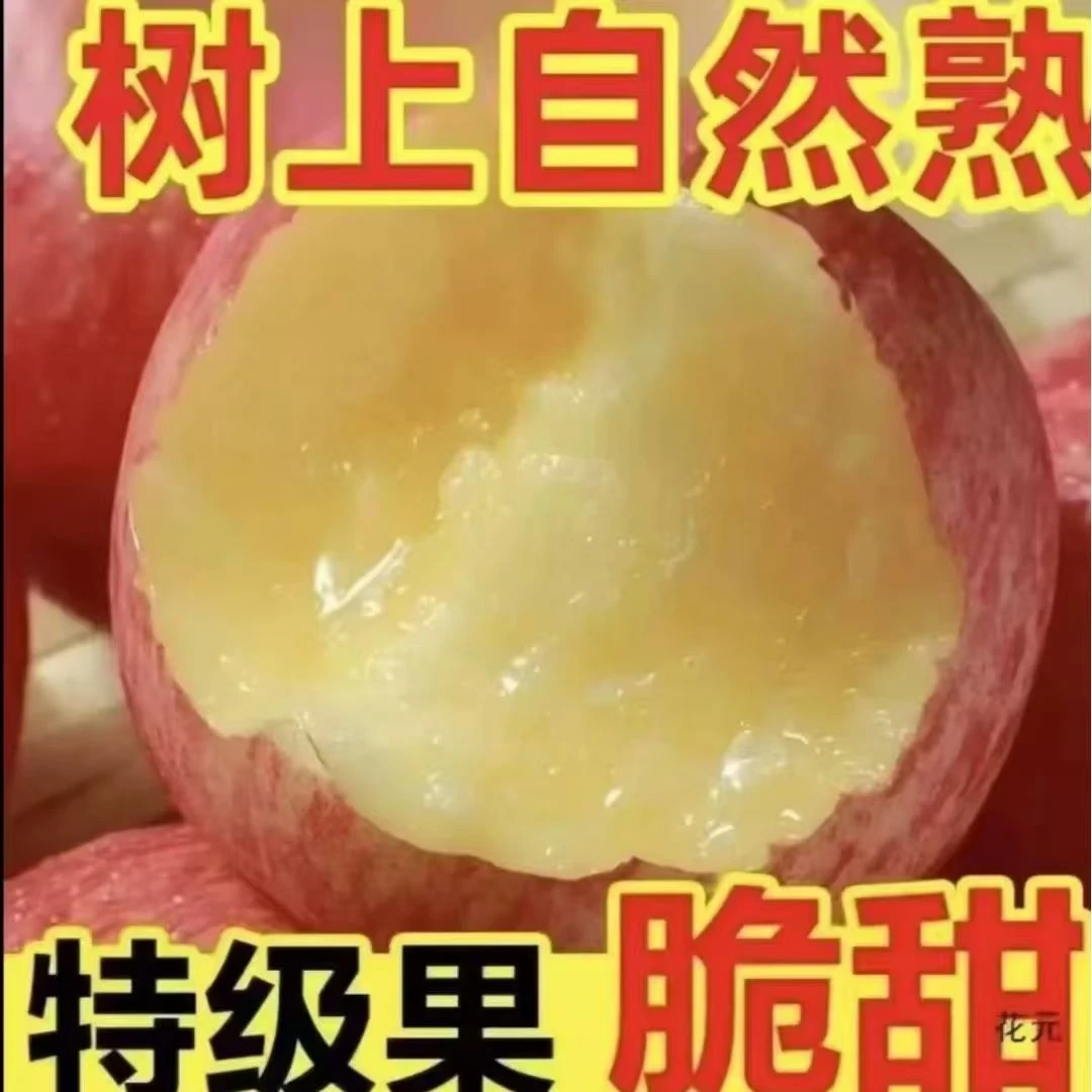 T陕西当季红富士苹果 冰糖心脆甜多汁新鲜水果