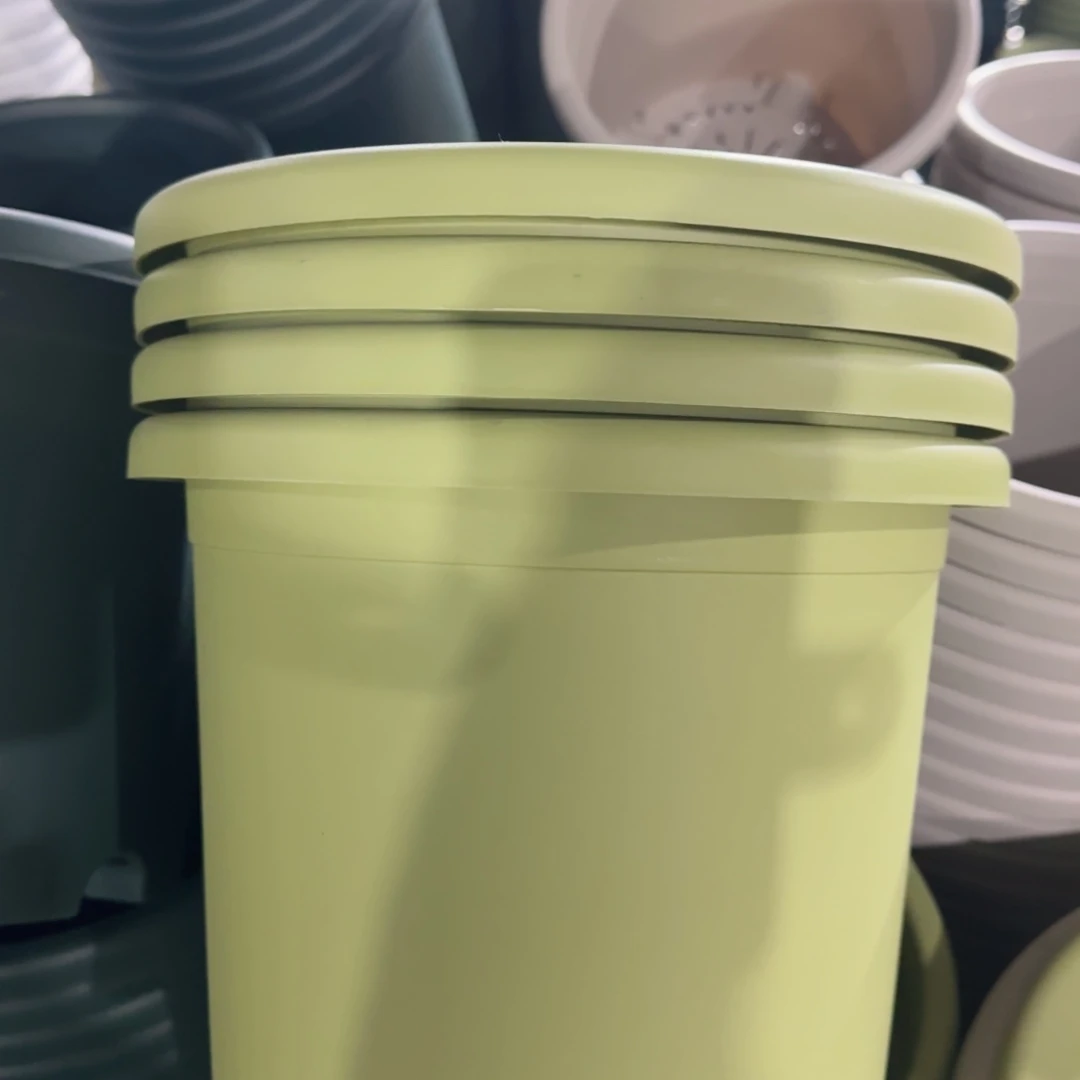 塑料四季4号果绿6个带拖