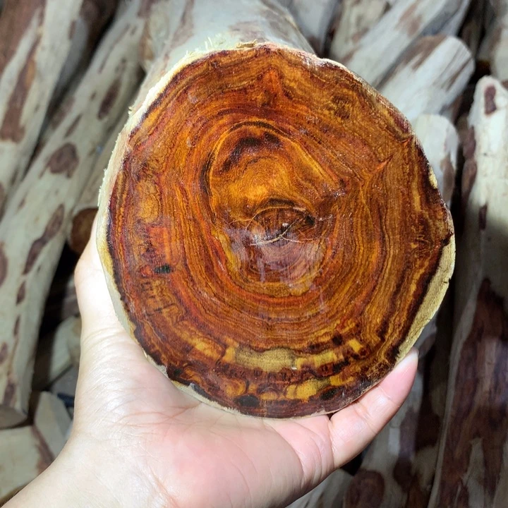 花梨木类海南黄花梨