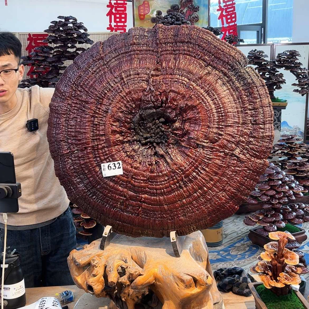 【闪购商品】58888